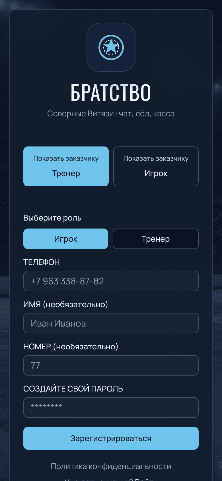 Ледовое Братство — PWA для хоккейной команды — 1