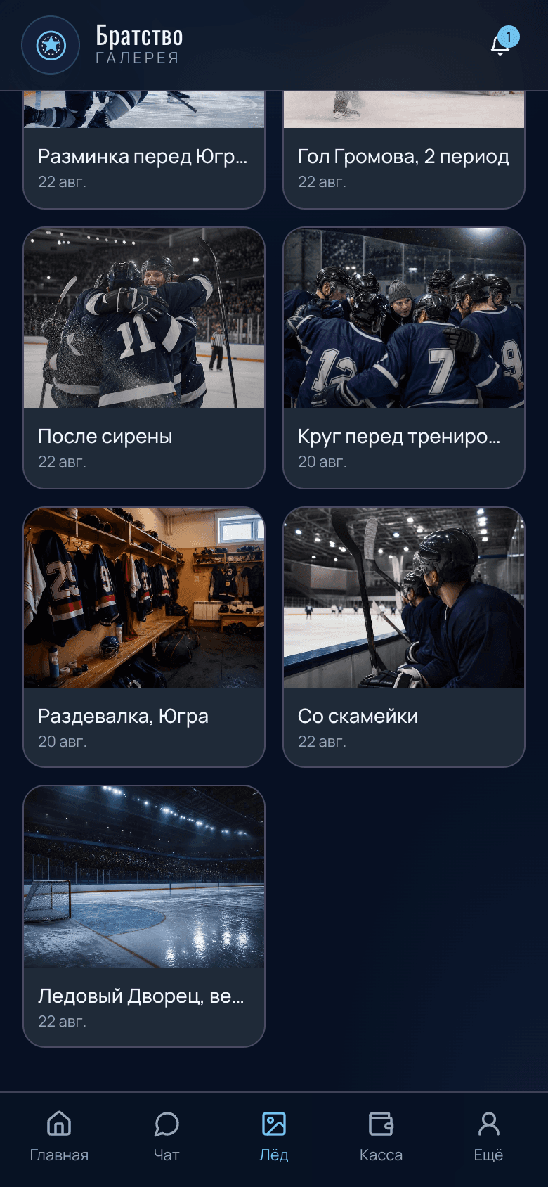 Ледовое Братство — PWA для хоккейной команды — 4