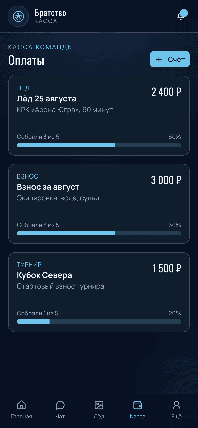 Ледовое Братство — PWA для хоккейной команды — 5