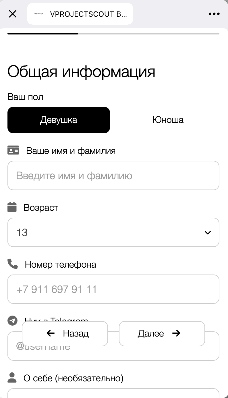 VPROJECTSCOUT — Telegram-бот и Mini App модельного агентства — 3