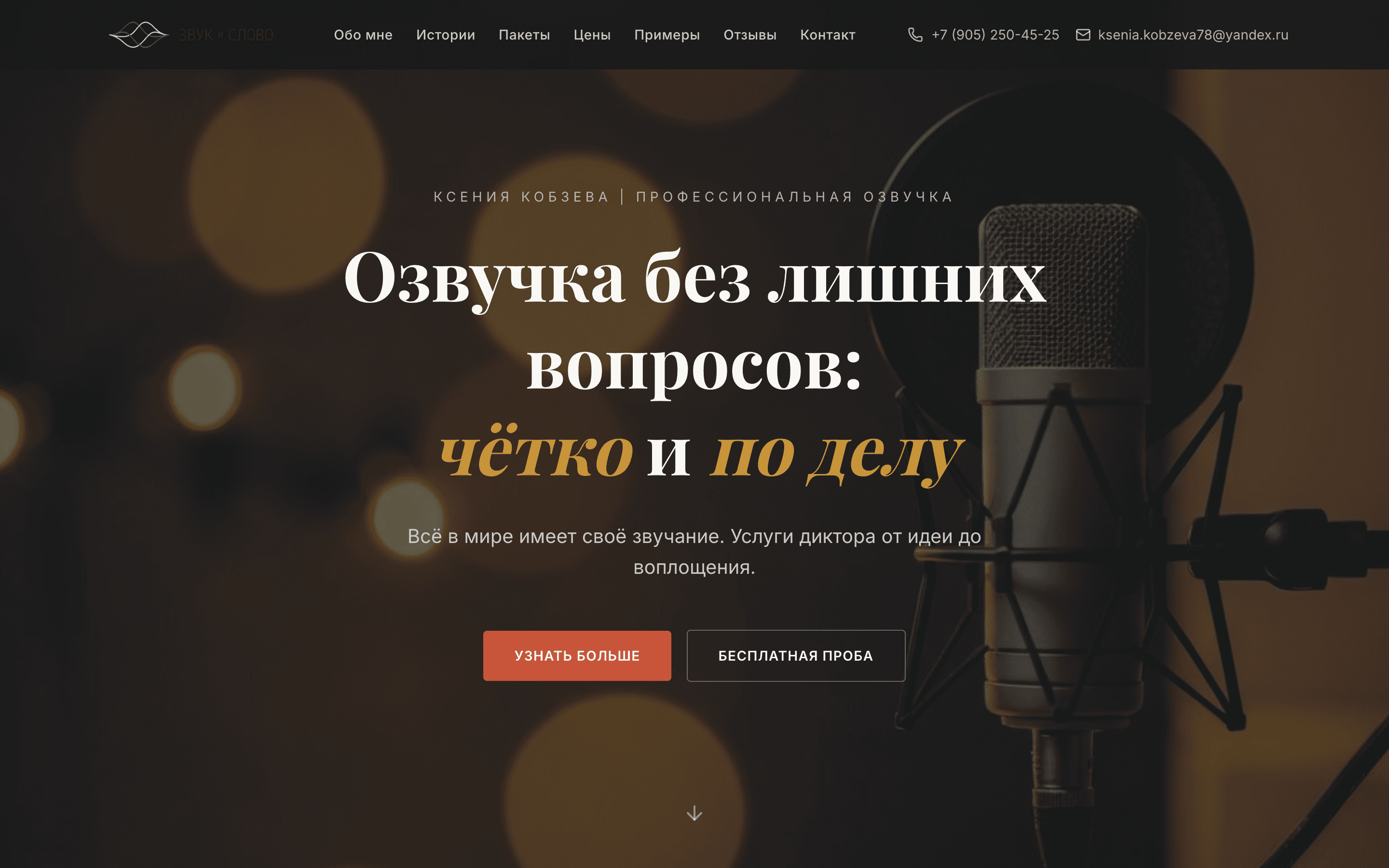 ЗВУК и СЛОВО — шаблон сайта услуг диктора и озвучки