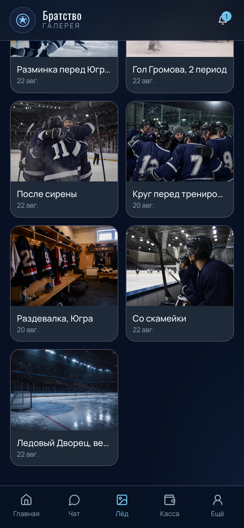 Ледовое Братство — PWA для хоккейной команды — 4
